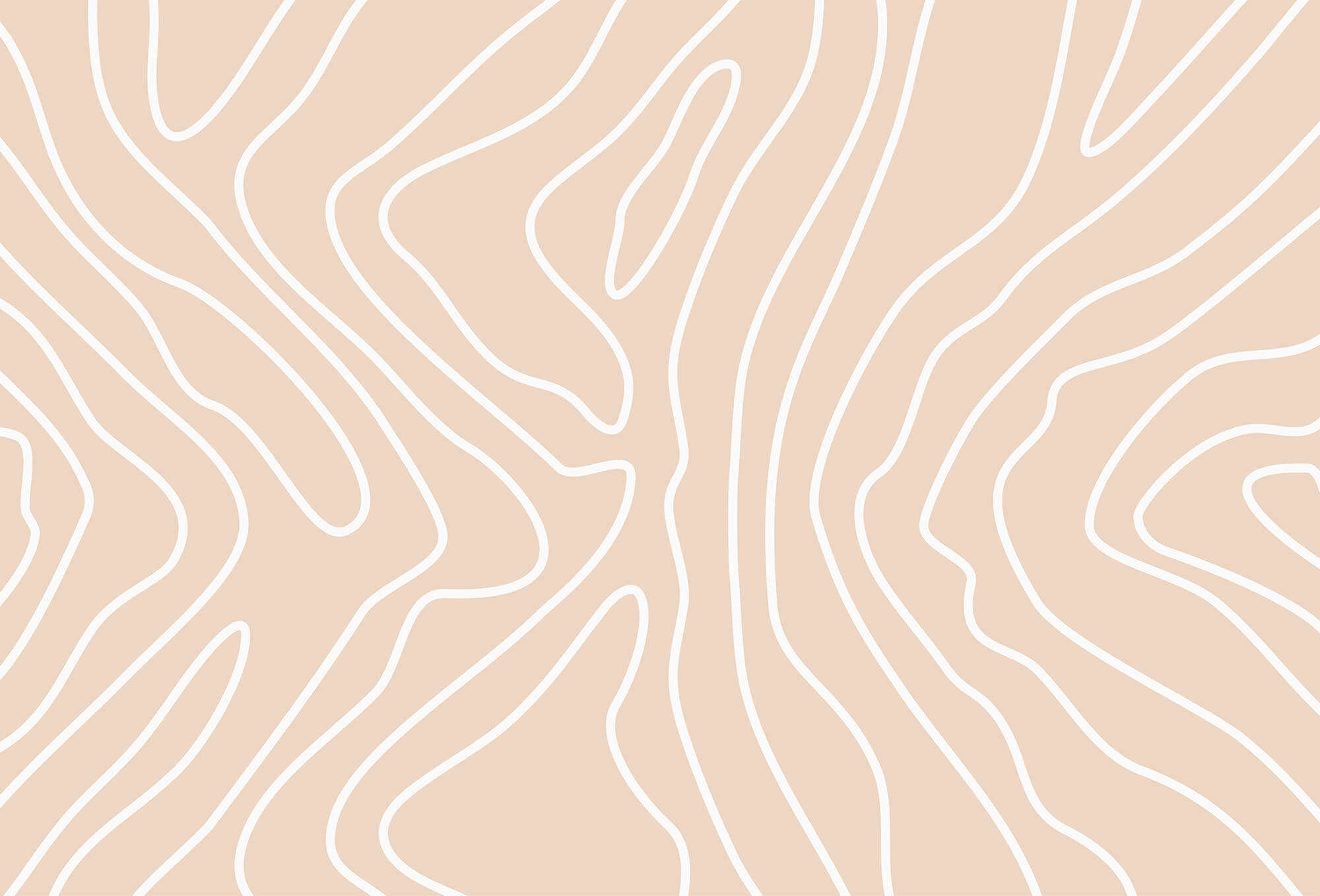 White lines on a pink background