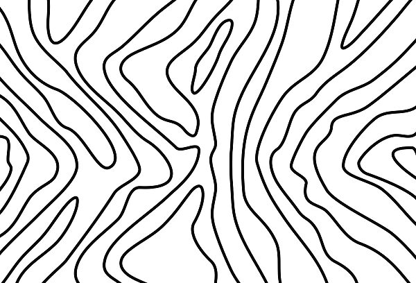 Diseño en blanco y negro Diseño en blanco y negro