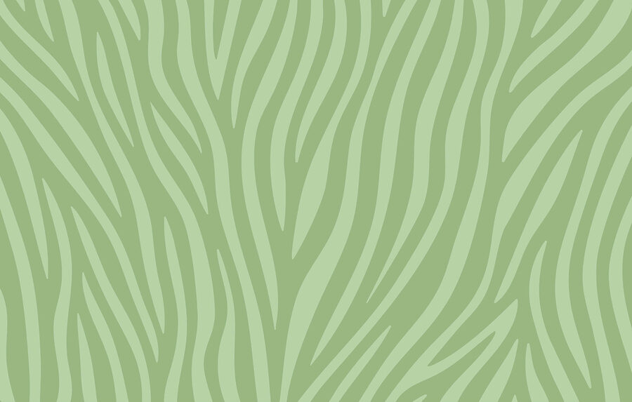 Estampado de cebra verde y blanco