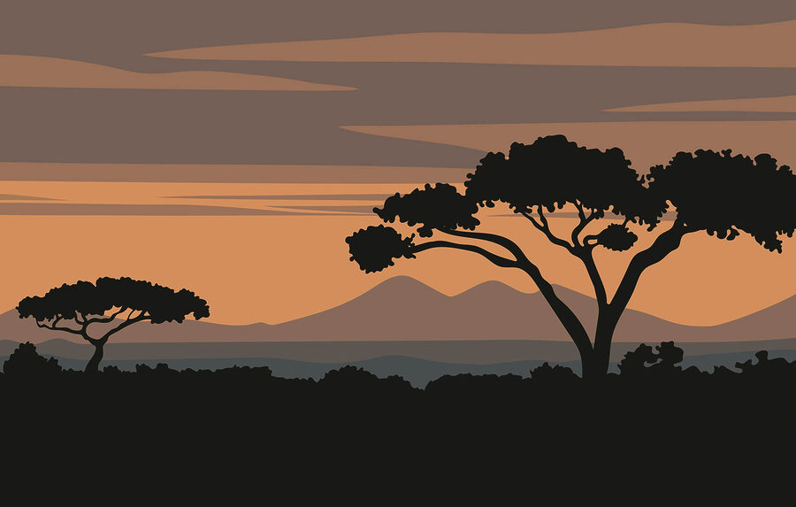 Fotomurales Árbol con montañas al fondo - Imagen 3