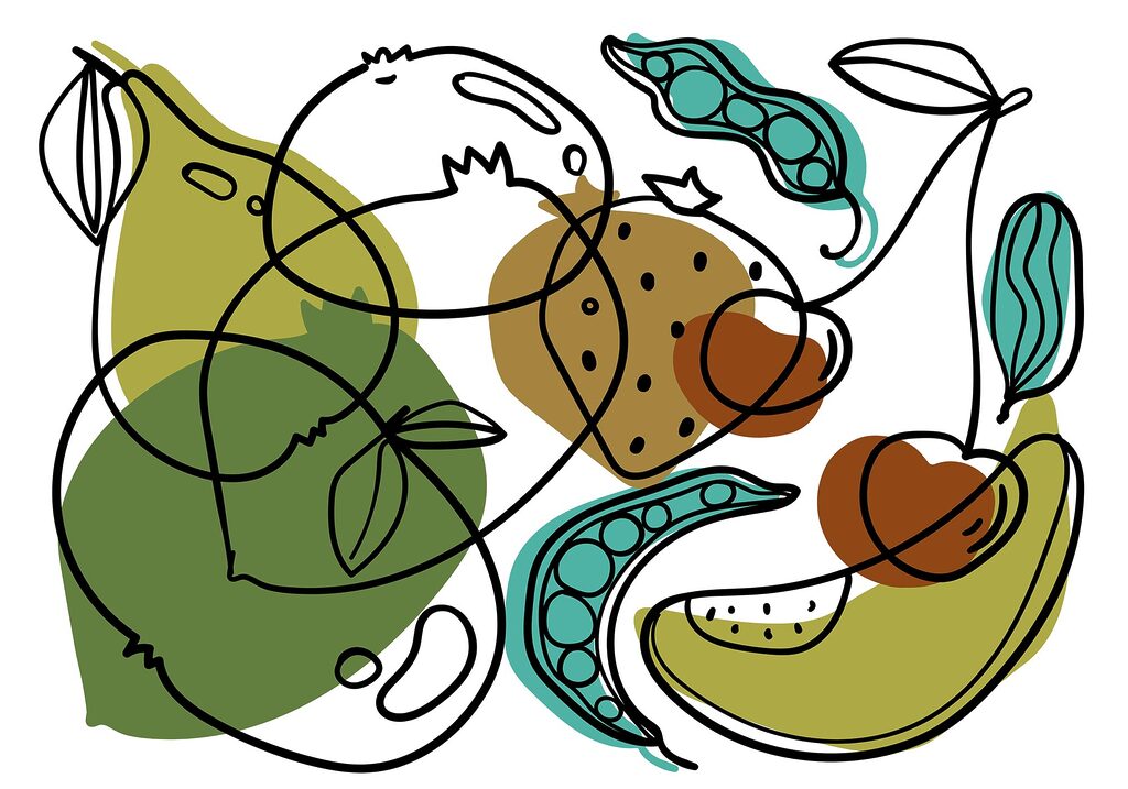 Wall murals Drawing of different fruits Wall murals Drawing of different fruits