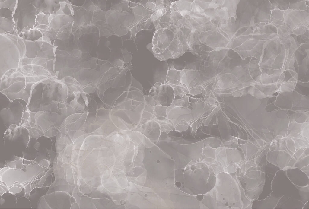 Fondo gris y blanco Fondo gris y blanco