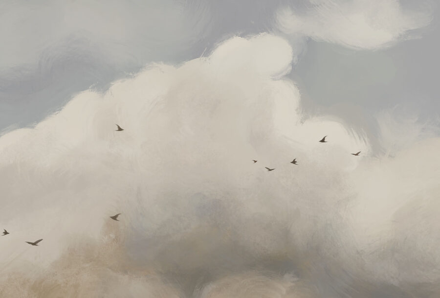 Pájaros volando en el cielo