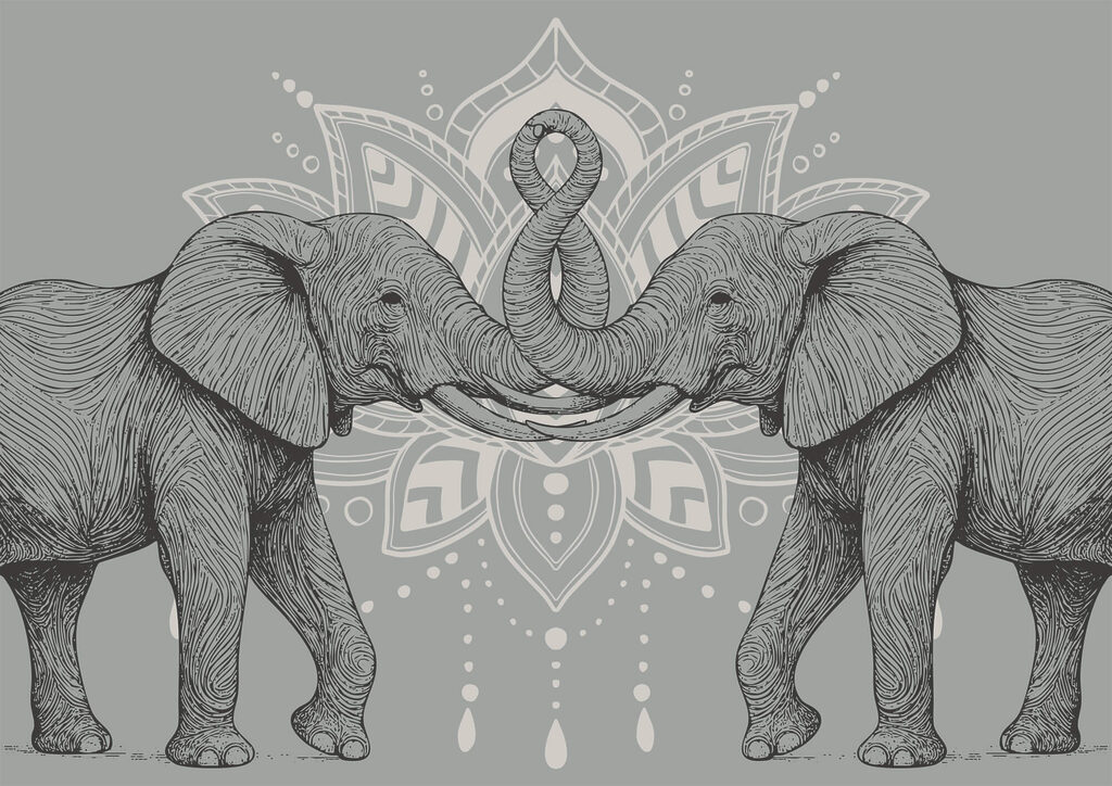 Two elephants with their trunks touching each other
