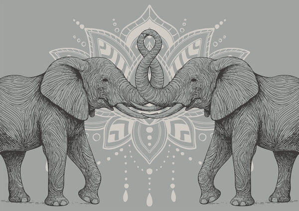 Two elephants with their trunks touching each other