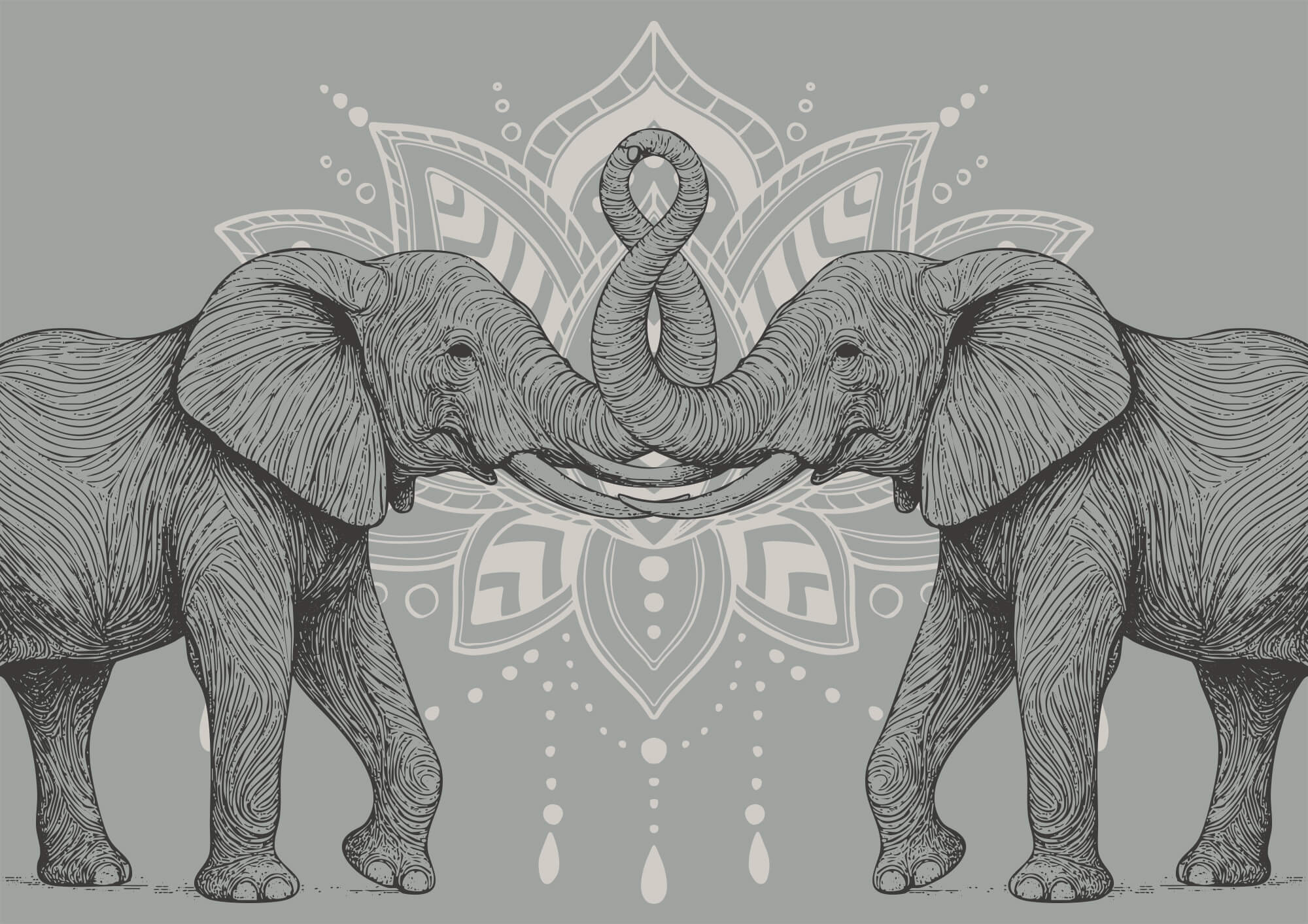 Two elephants with their trunks touching each other