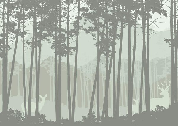 Group of trees in a forest