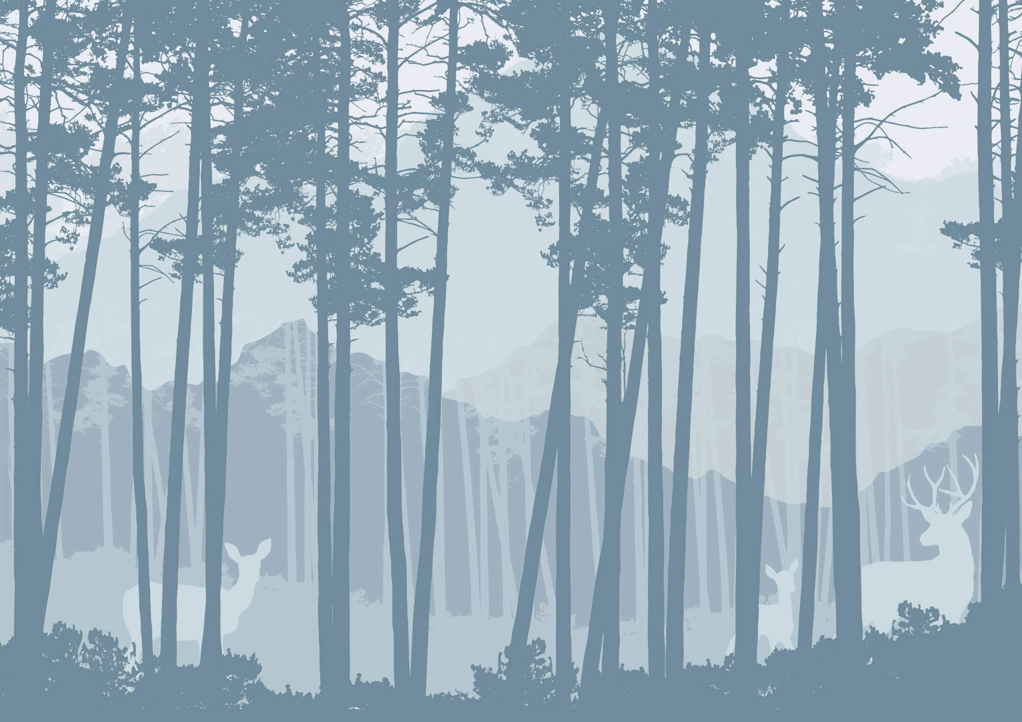 Group of trees in a forest