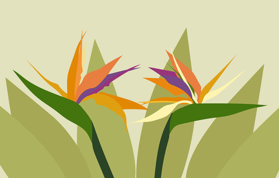 Flores de colores sobre tallos verdes