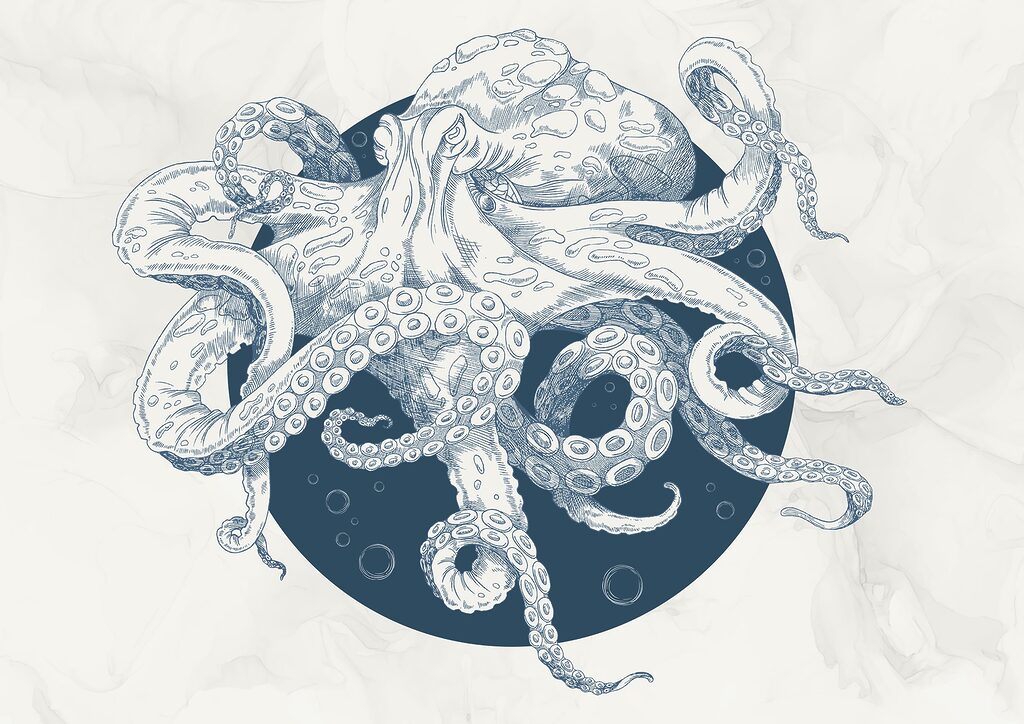 Dibujo de un pulpo t00010p 1024x724 - Dibujo de un pulpo - tegory