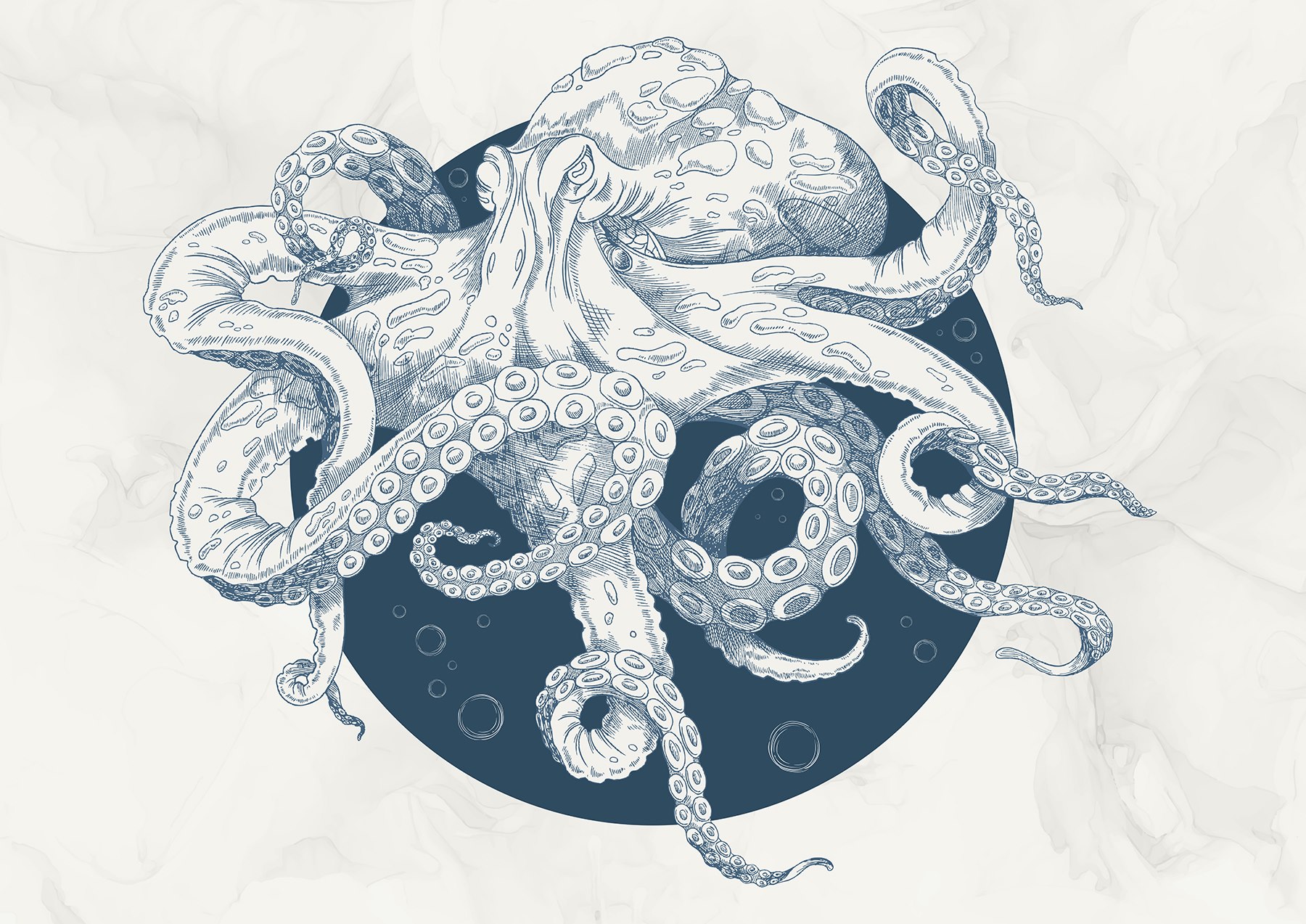 Dibujo de un pulpo t00010p - Dibujo de un pulpo - tegory
