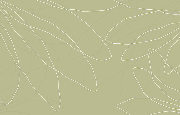 Fondo verde con líneas blancas Fondo verde con líneas blancas