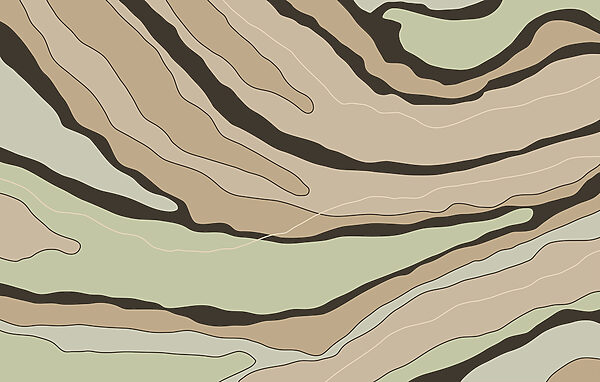 Líneas abstractas en cálidos tonos tierra Líneas abstractas en cálidos tonos tierra