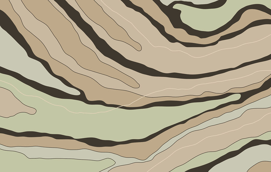 Líneas abstractas en cálidos tonos tierra