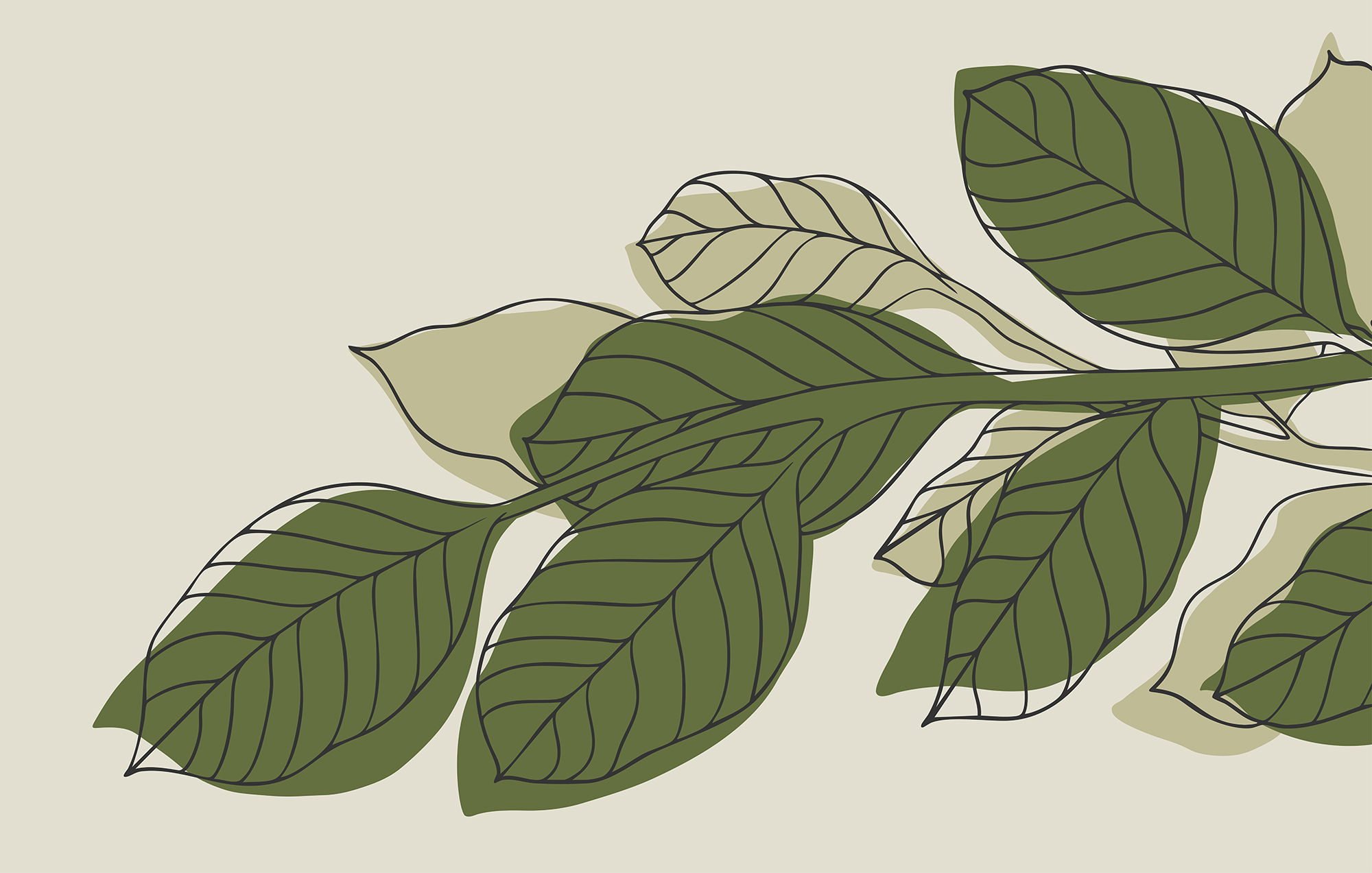 Green leafy plant with black lines