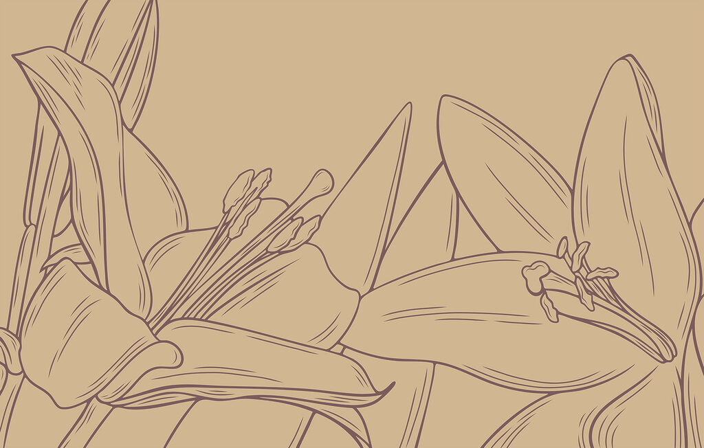 Dibujo de una flor Dibujo de una flor