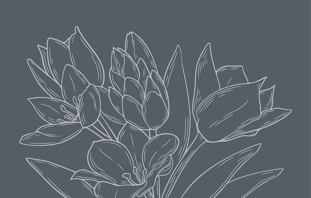 Delicate flowers against a dark background Delicate flowers against a dark background