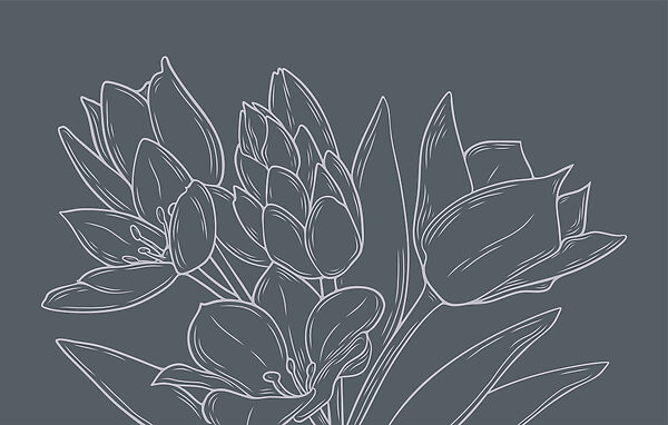 Delicate flowers against a dark background Delicate flowers against a dark background