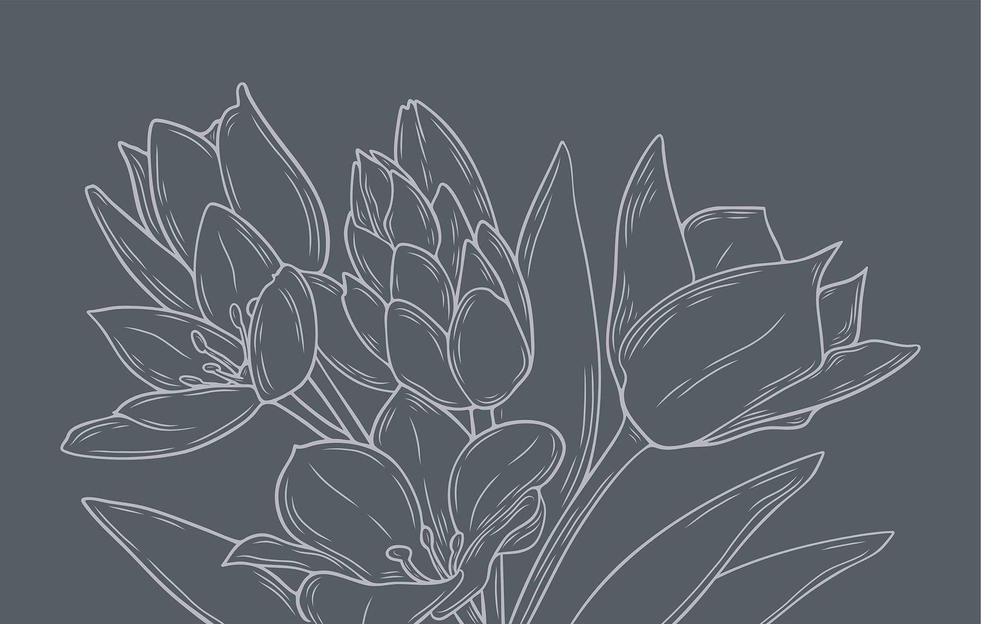 Delicate flowers against a dark background Delicate flowers against a dark background