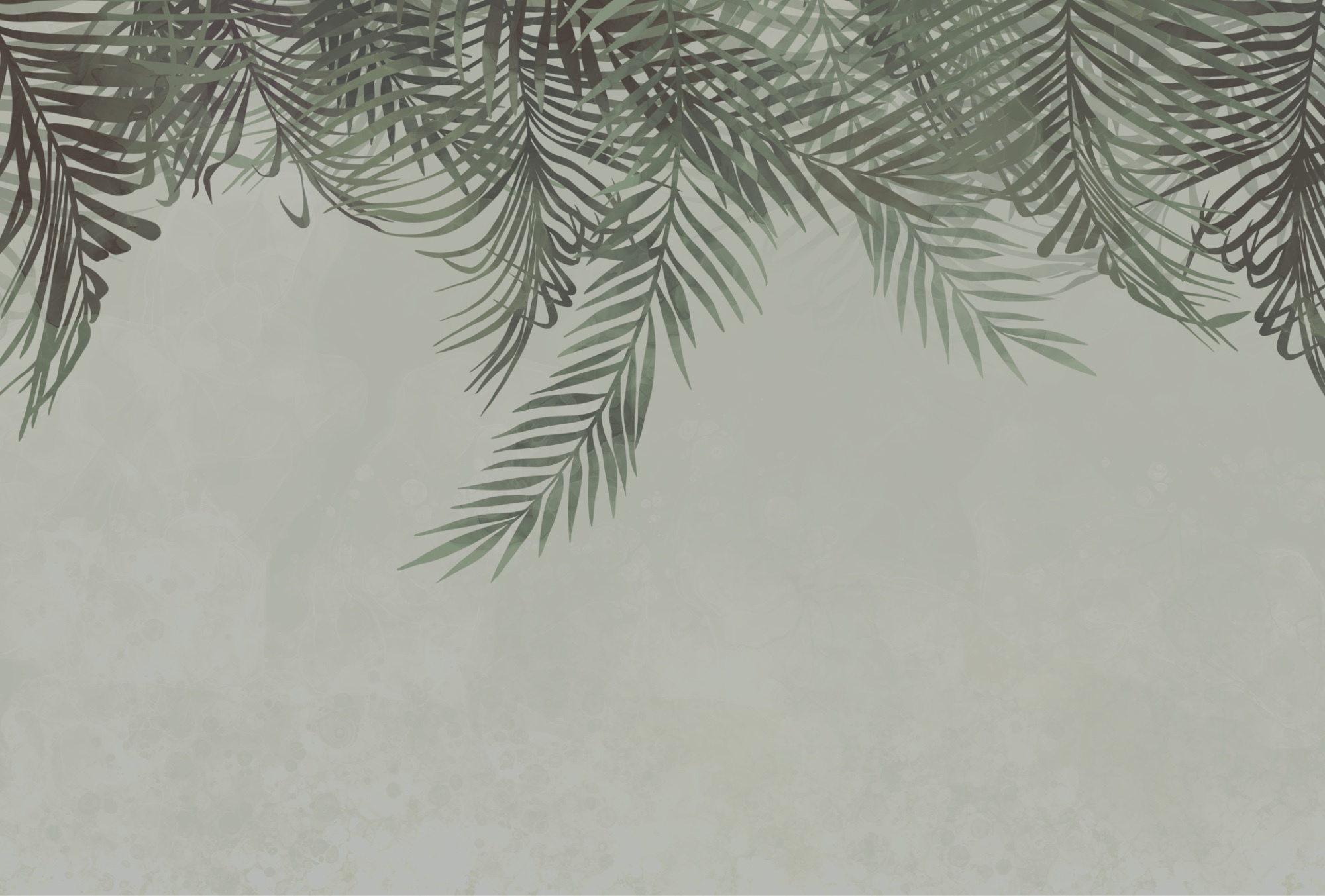 Vegetación enmarcando un fondo suave t00150v1p - Vegetación enmarcando un fondo suave