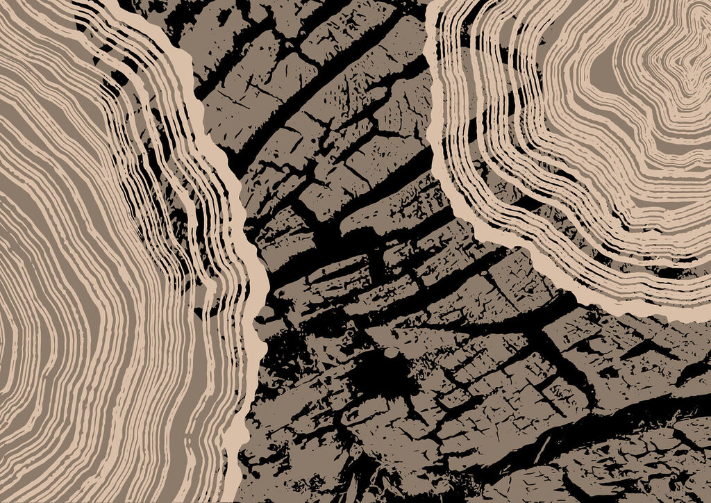 Striking patterns of nature's beauty