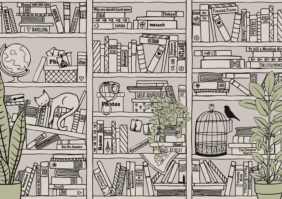 Papel pintado con libros en estanterías
