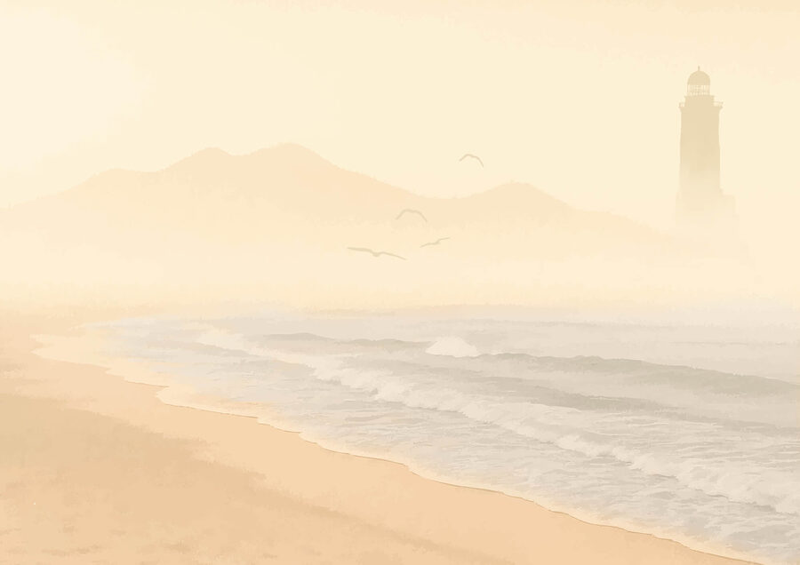 Playa con olas y pájaros