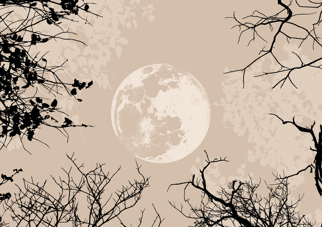 Moon in the sky