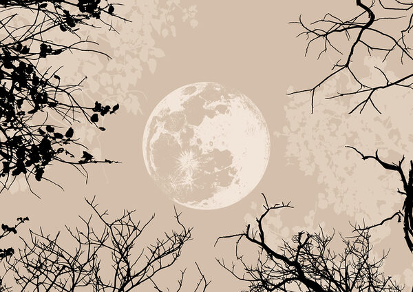 Moon in the sky