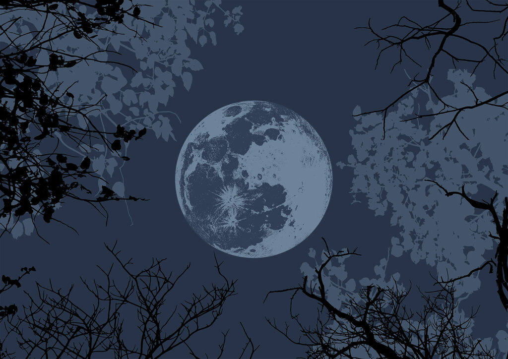 Moon in the sky