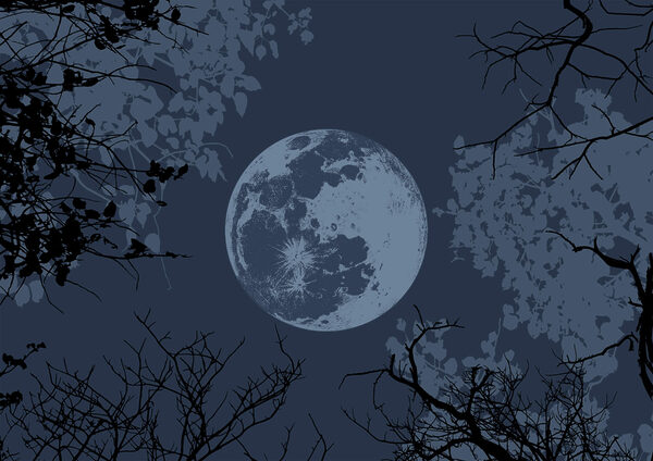 Moon in the sky