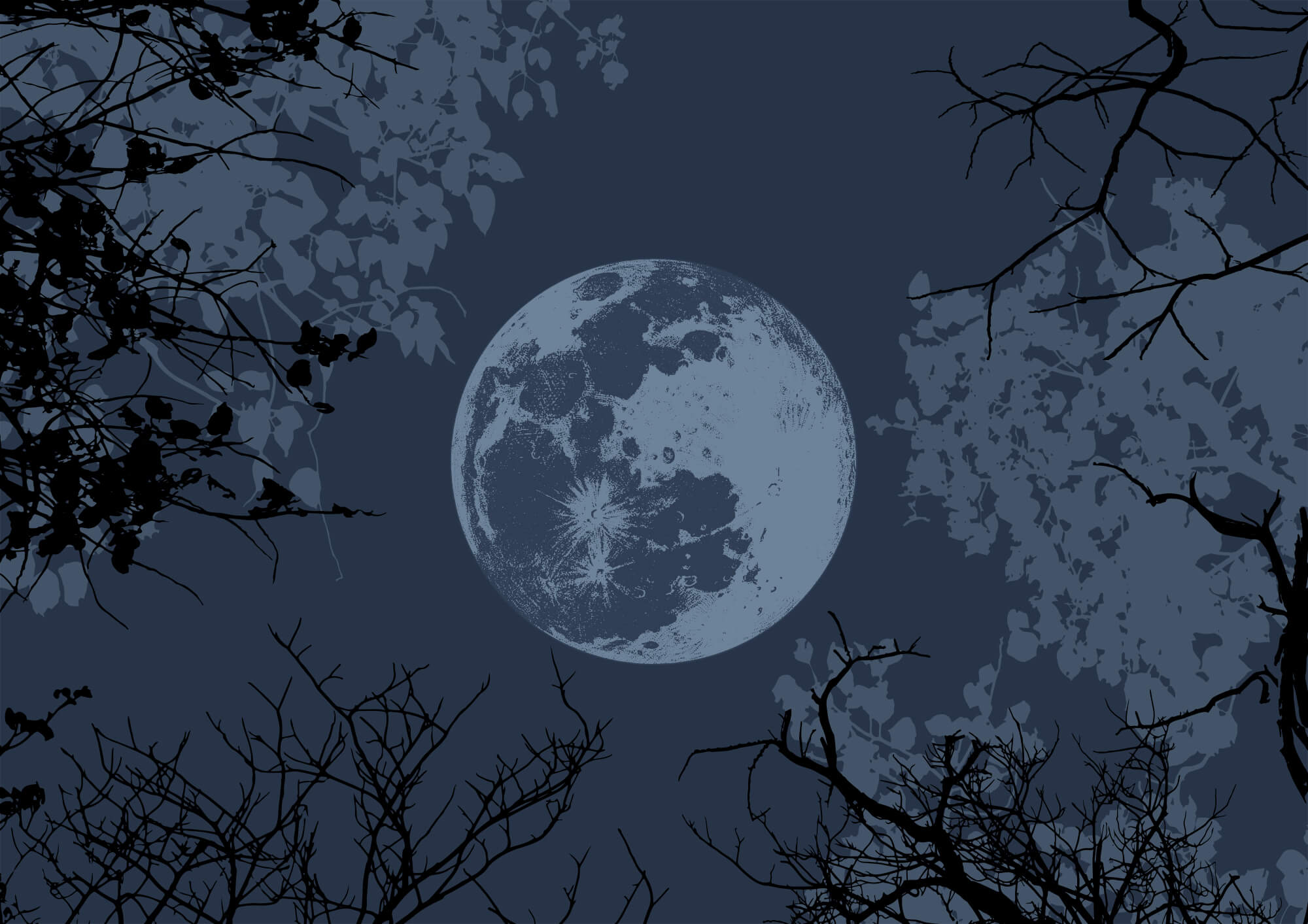 Moon in the sky