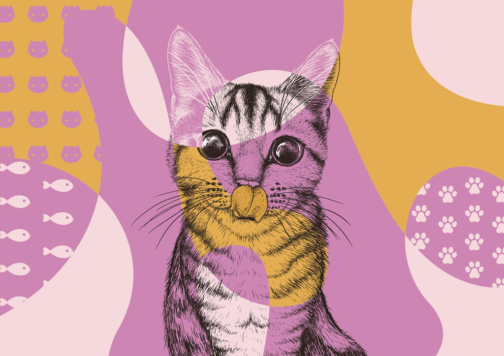 Cat with a mouse nose