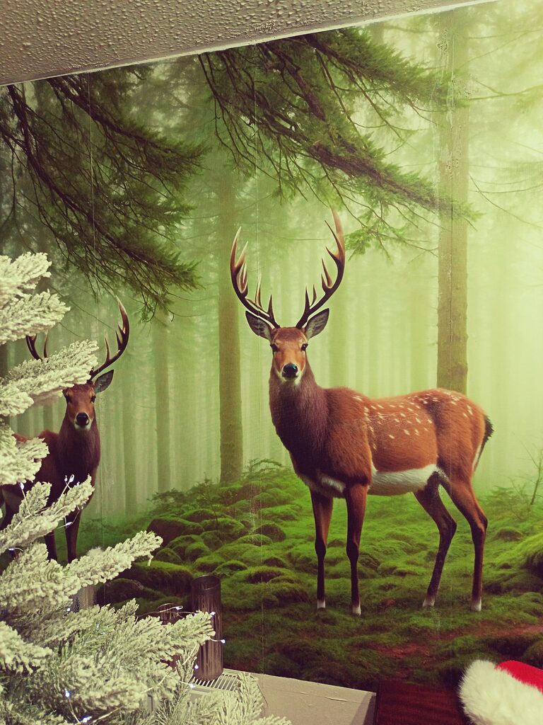 Imagen #1 deJulie mcglinchey