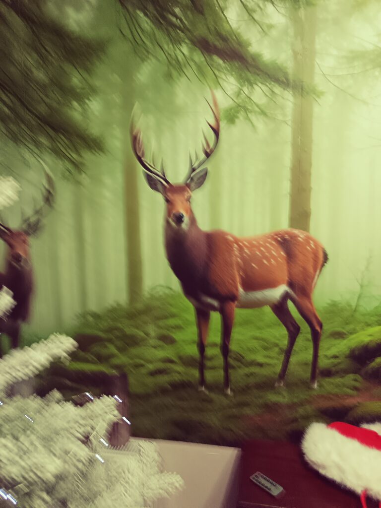 Imagen #2 deJulie mcglinchey