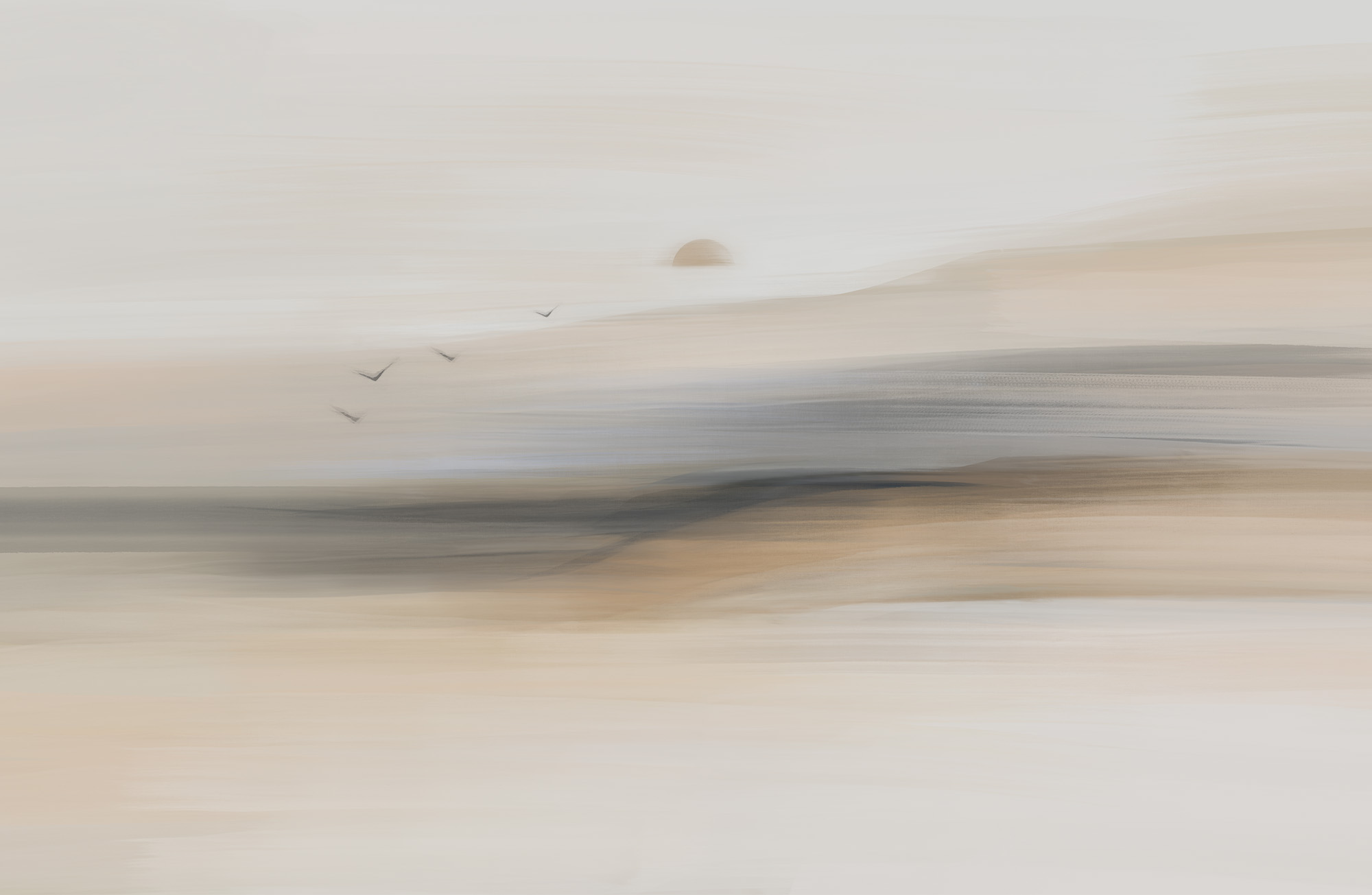 Group of birds flying in the sky