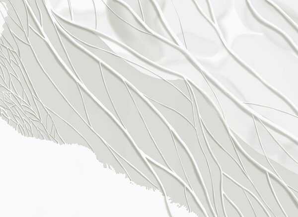 White background with lines