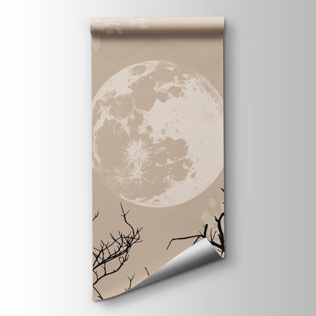 Moon in the sky