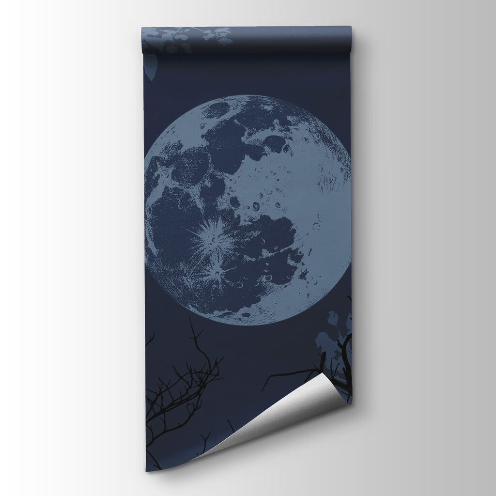 Moon in the sky