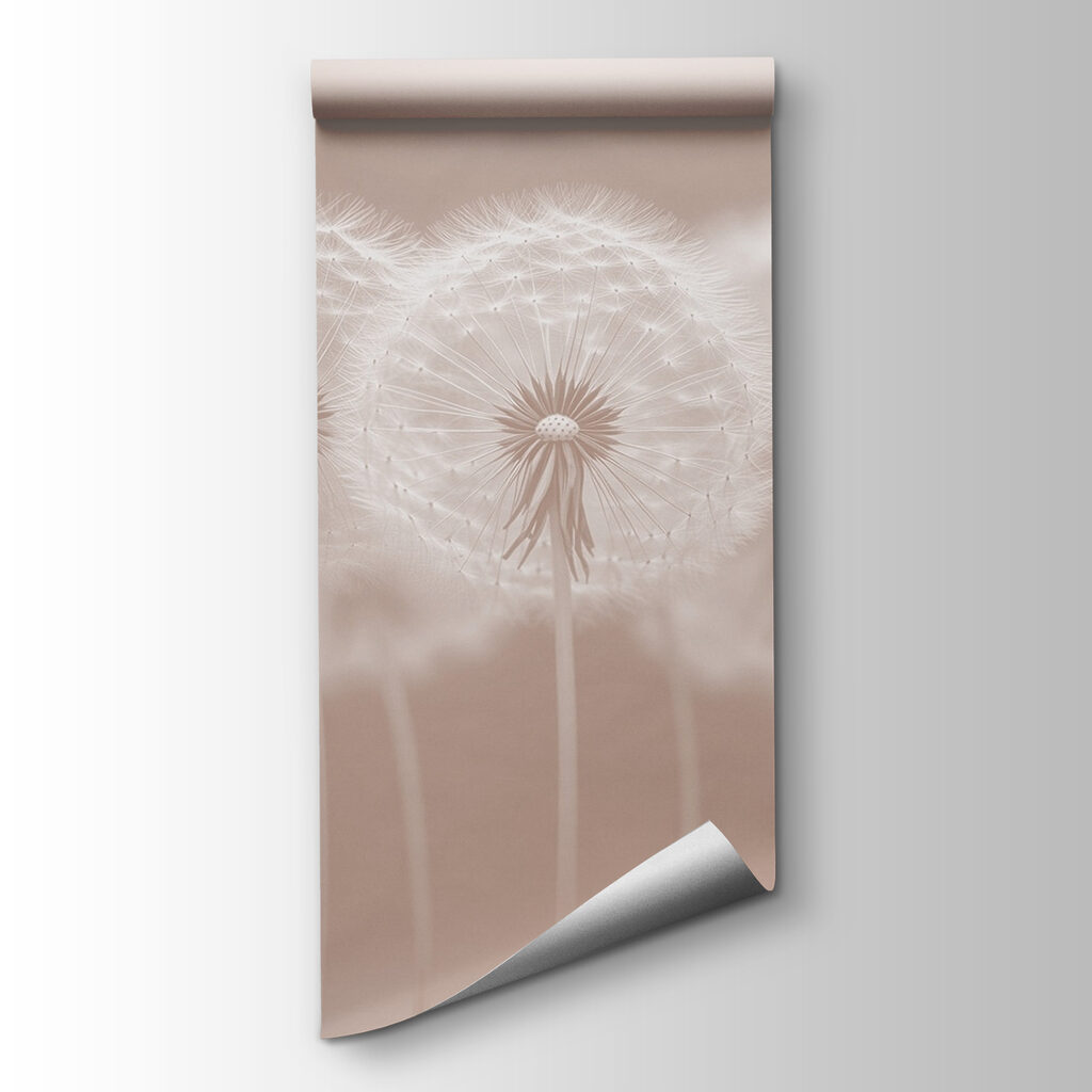 Group of dandelions