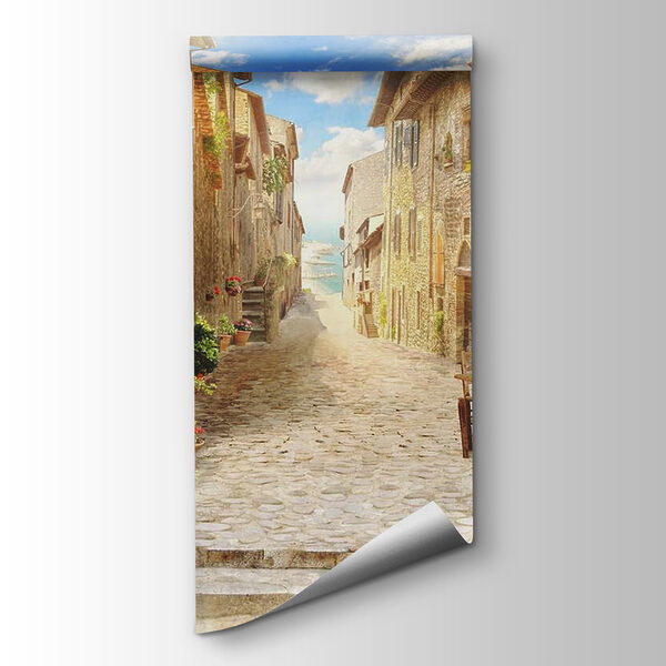 Stone street with stone buildings and plants