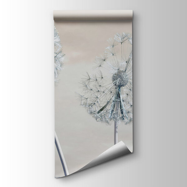 A group of dandelions with seeds A group of dandelions with seeds