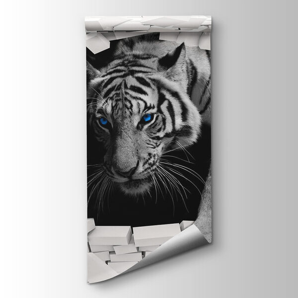 Tiger coming through a hole in a wall Tiger coming through a hole in a wall