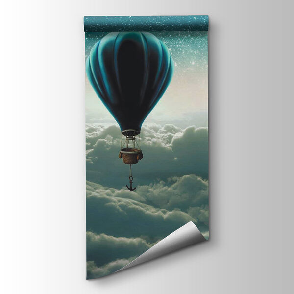 Hot air balloon in the sky