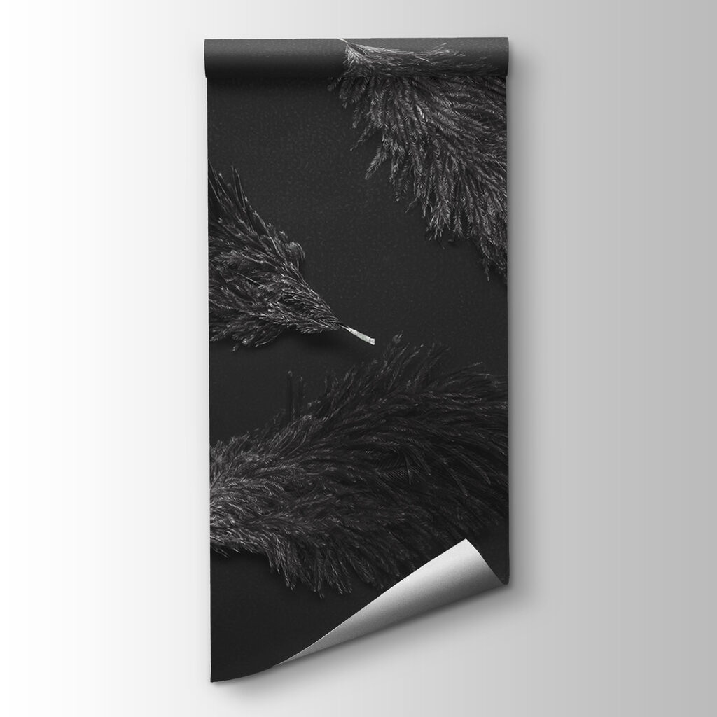 Group of black feathers