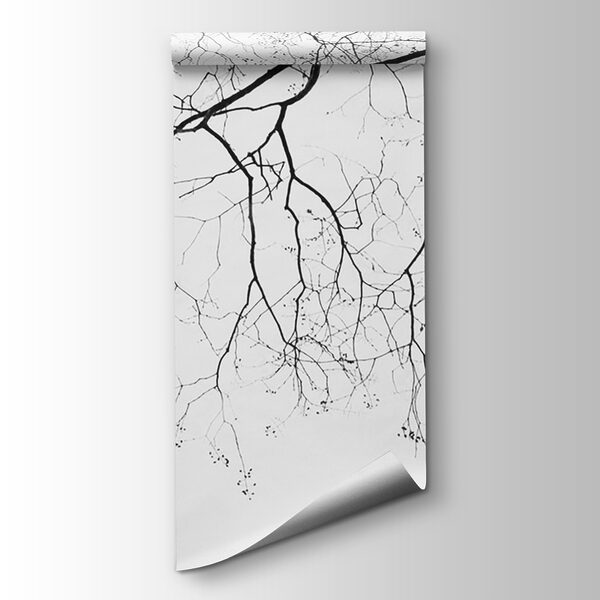 Tree branch with no leaves Tree branch with no leaves