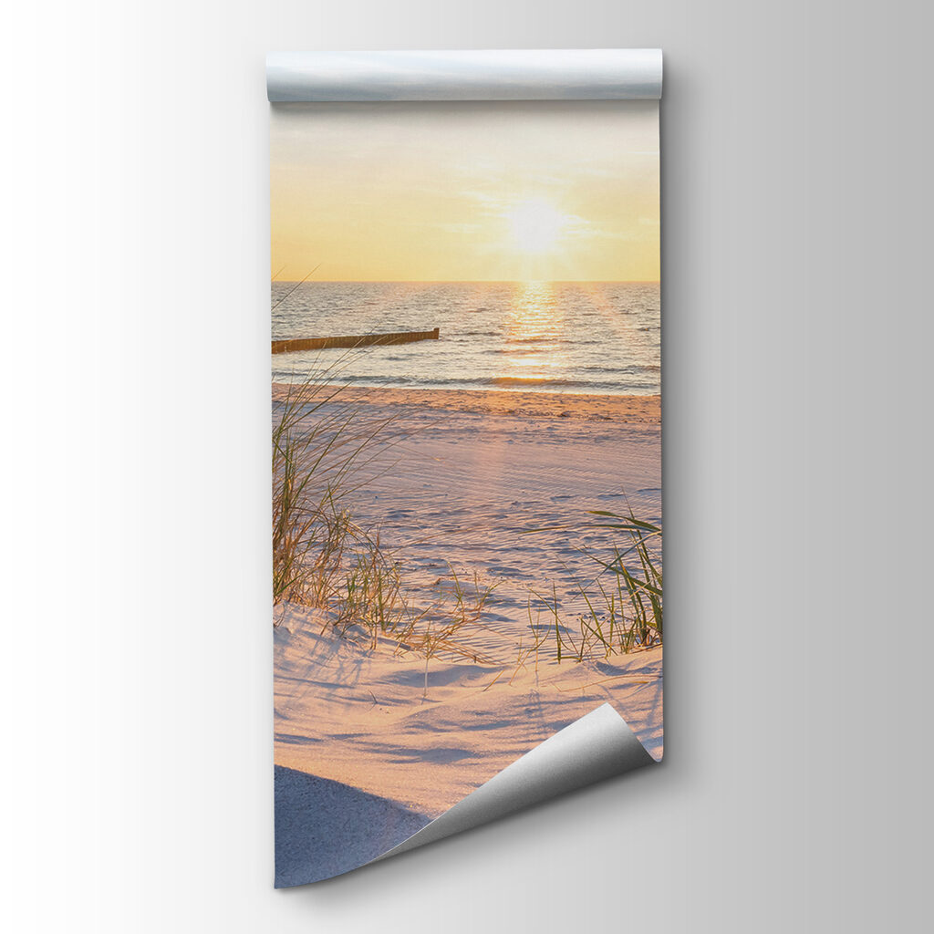 Beach with grass and a body of water Beach with grass and a body of water