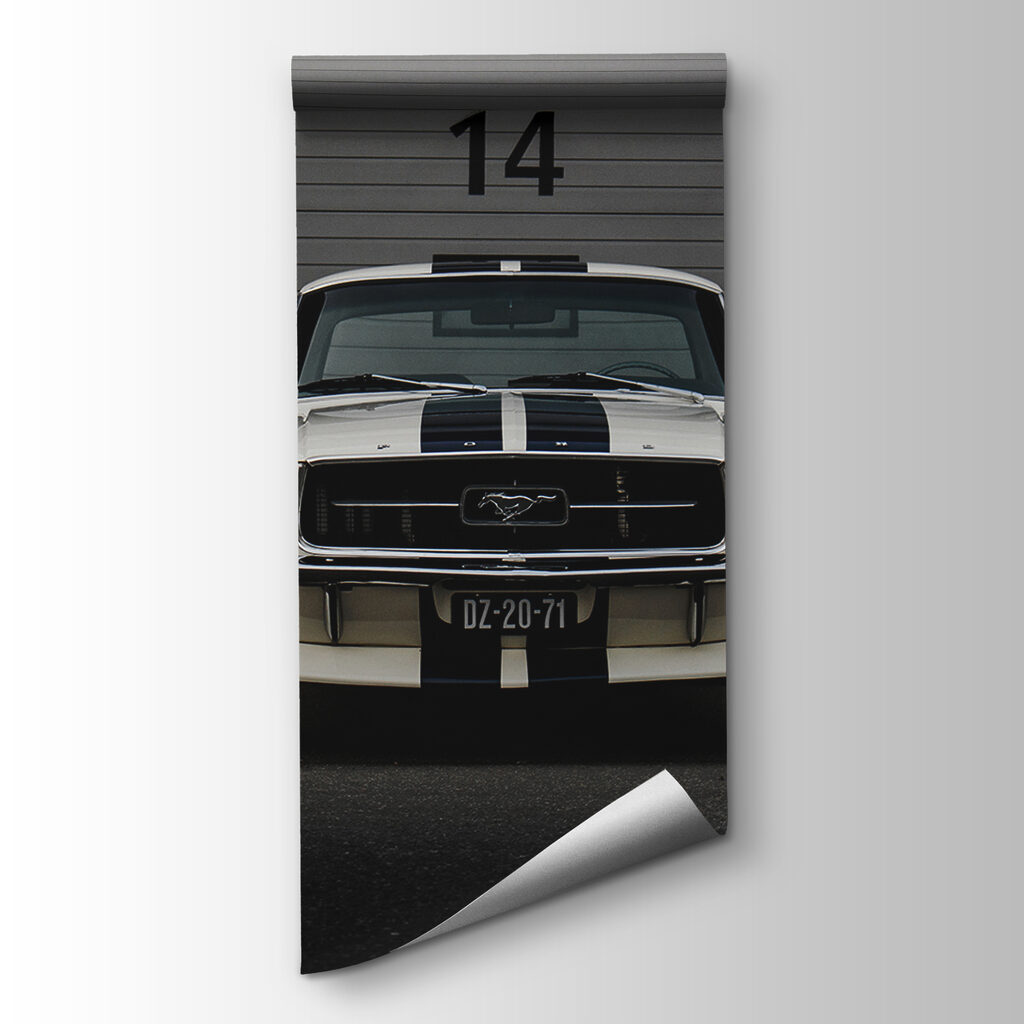 Car parked in front of a garage door