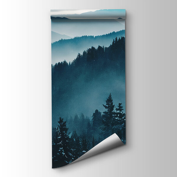 Mountain range with trees and fog