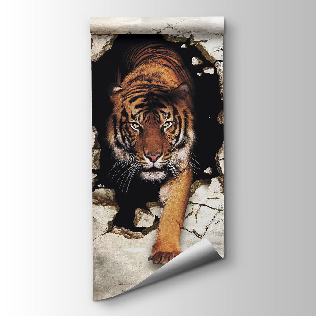Tiger coming out of a hole in a wall